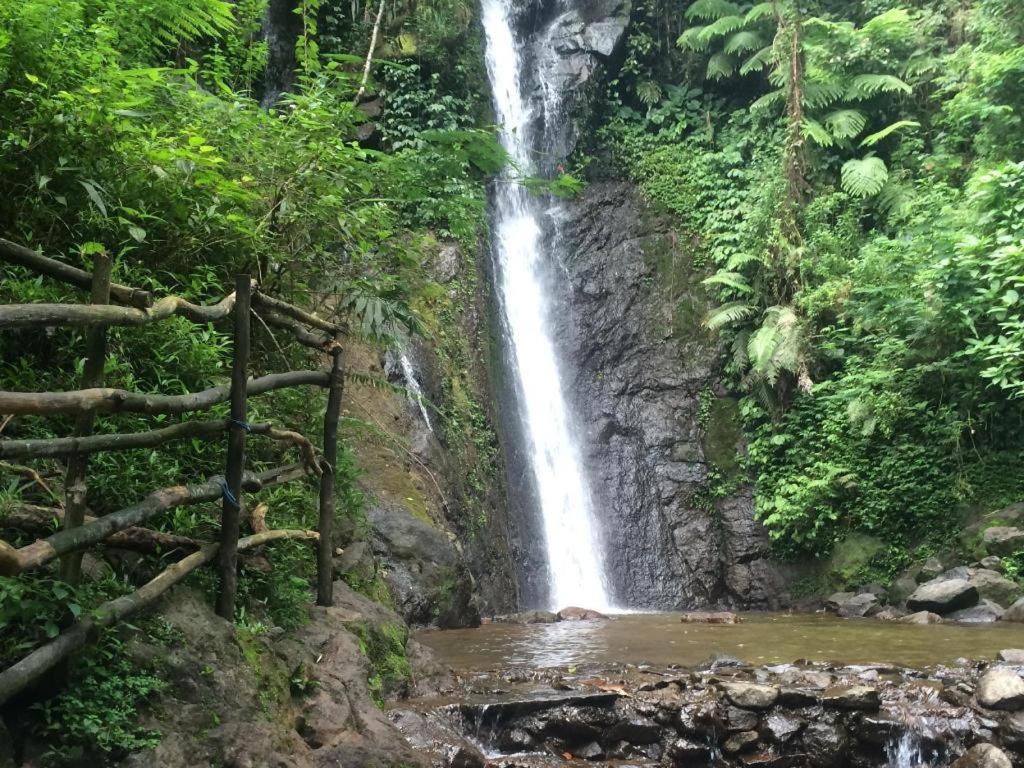Remaja Pgi Puncak